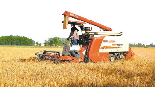 147臺聯合收割機出發,輾轉多省小麥主產區收麥,歷時將達3個多月 千里追訪安陸 麥客