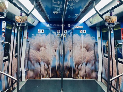 蘇州文青必去打卡 國內(nèi)首條全場景文化旅游特色線路蘇州軌交5號線開通